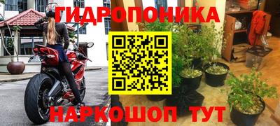эйфоретик Кимры