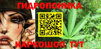 эйфоретик Кимры