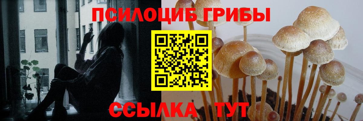 Псилоцибиновые грибы Psilocybine cubensis  Галлюциногенные грибы прущие грибы  Южно-Сахалинск  Вход с VPN 