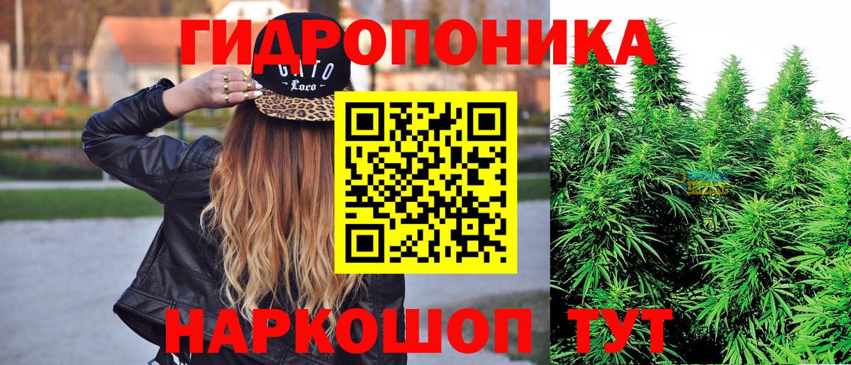 Шишки марихуана конопля  Каннабис White Widow  Бошки марихуана Amnesia  Вход с VPN  Южно-Сахалинск  Каннабис сатива 